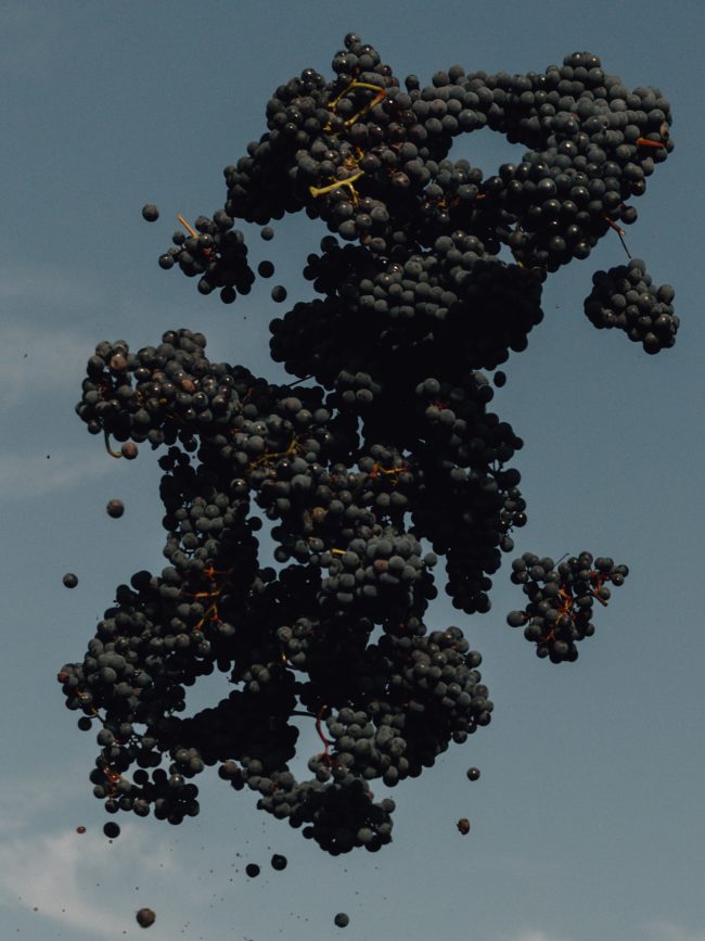 Vignoble de la Poëlerie